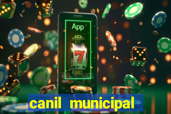 canil municipal porto alegre